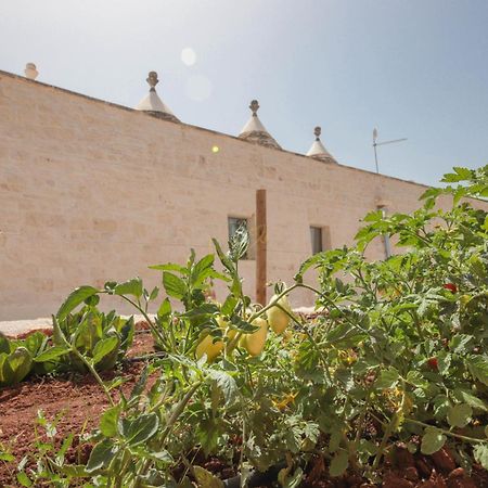 Td I Coni Di Pinure Trulli With Scenic Valley View Villa Martina Franca Buitenkant foto