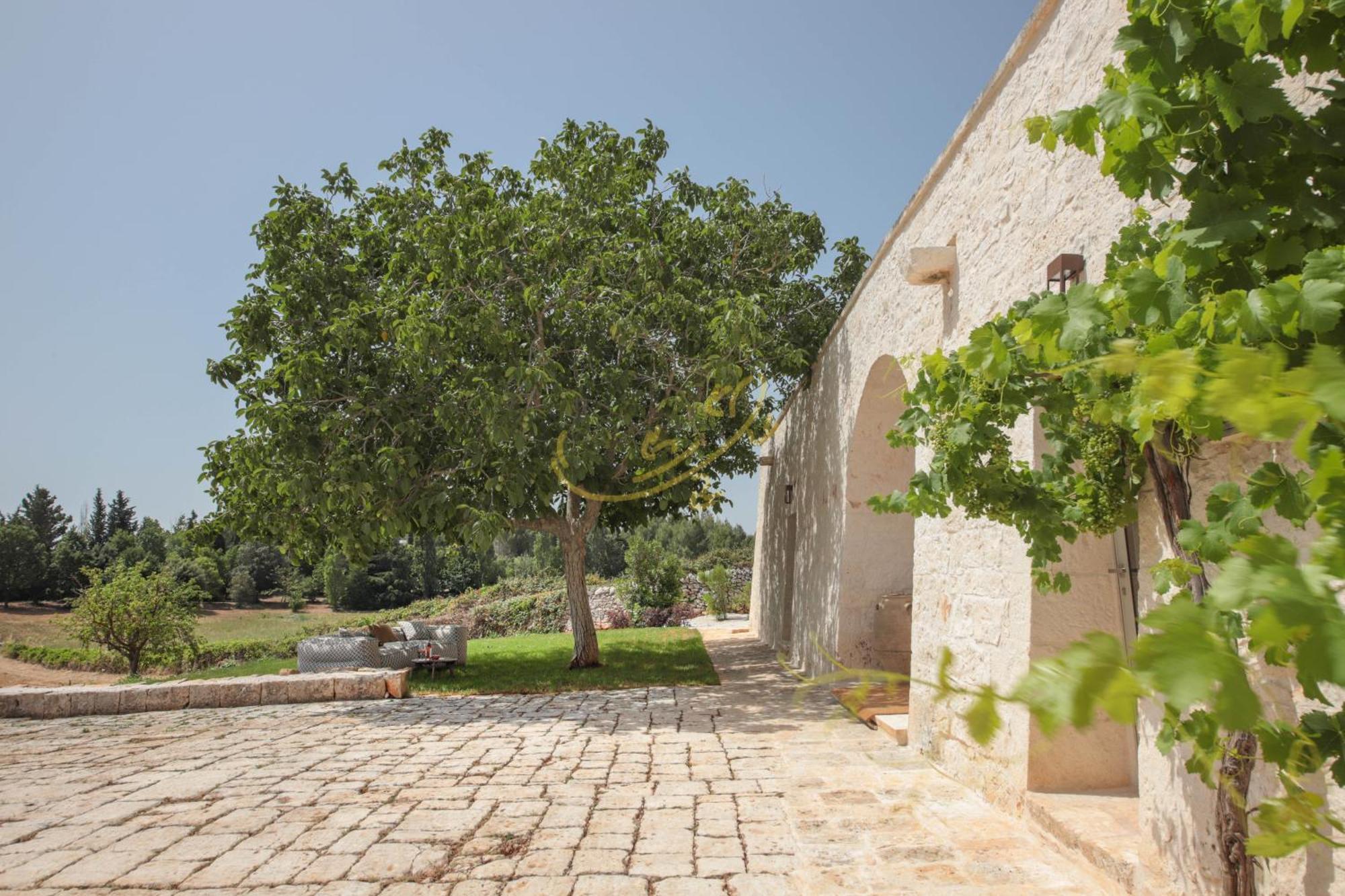 Td I Coni Di Pinure Trulli With Scenic Valley View Villa Martina Franca Buitenkant foto