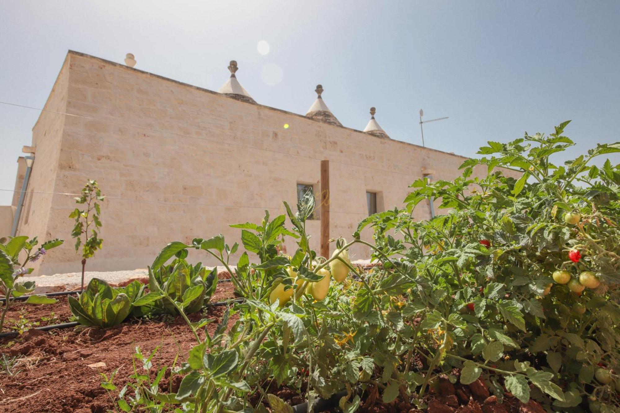 Td I Coni Di Pinure Trulli With Scenic Valley View Villa Martina Franca Buitenkant foto