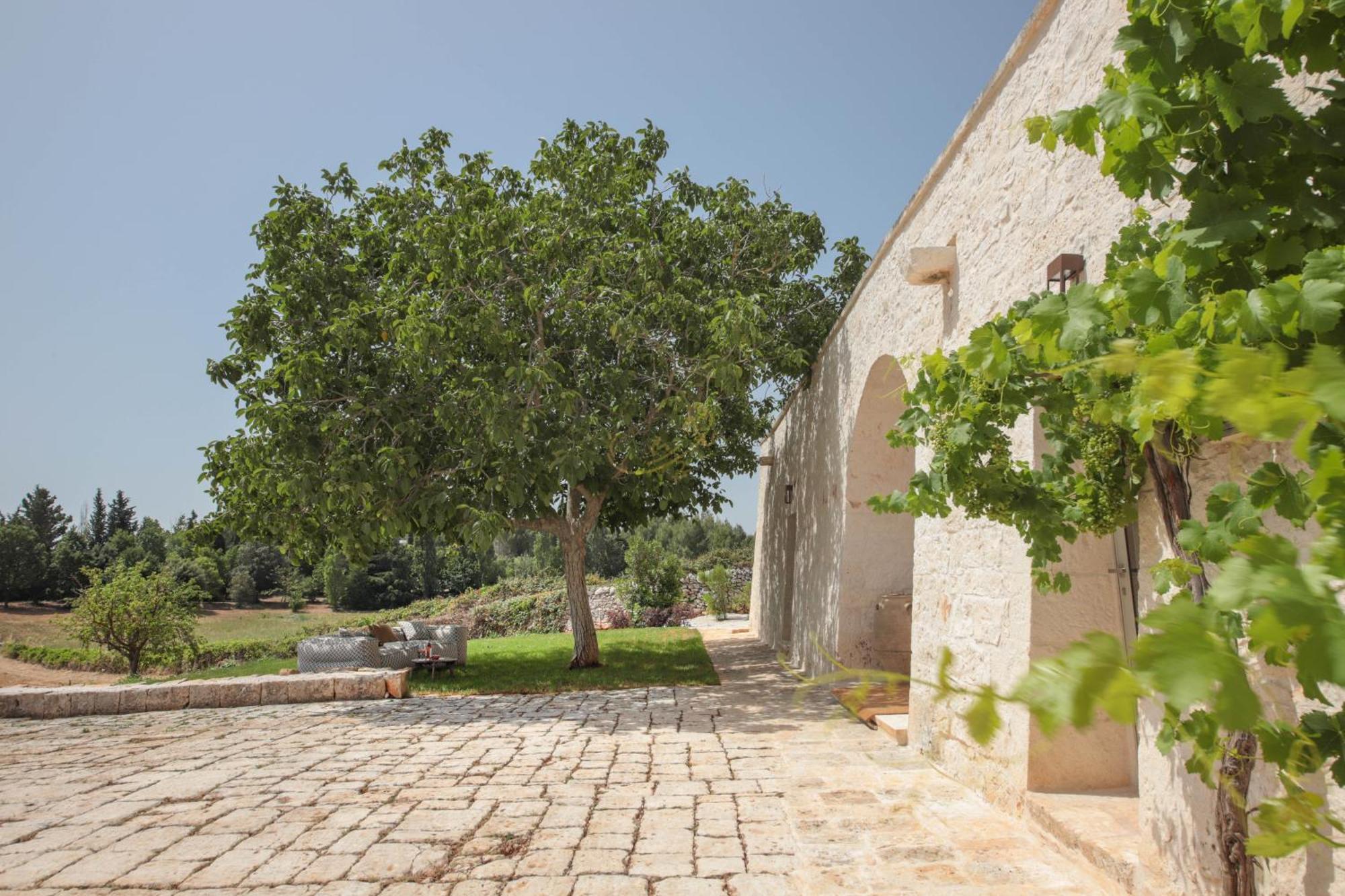 Td I Coni Di Pinure Trulli With Scenic Valley View Villa Martina Franca Buitenkant foto